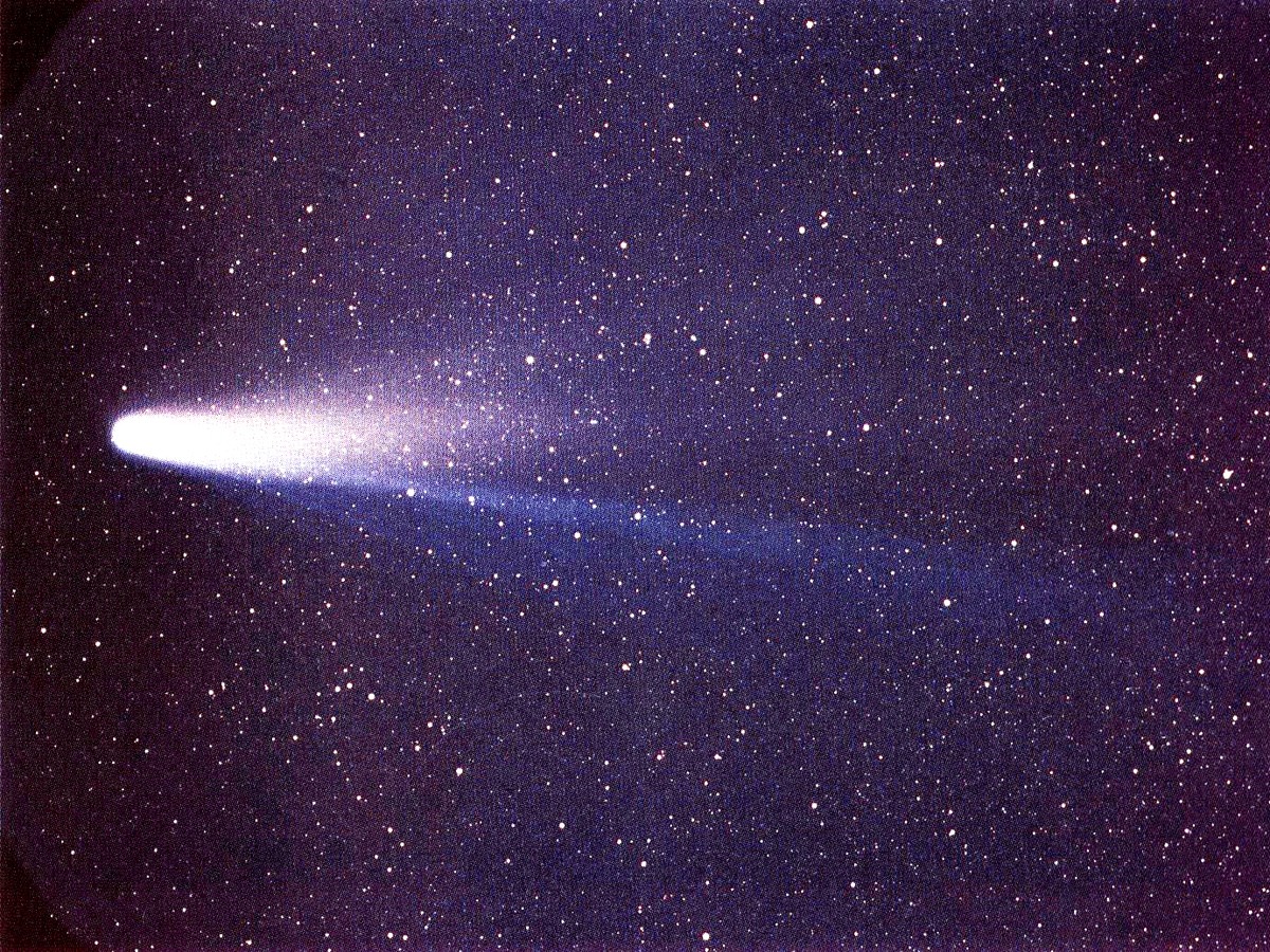 La comète de Halley et sa longue queue bleutée sur un fond de ciel étoilé, photographiée en mars 1986