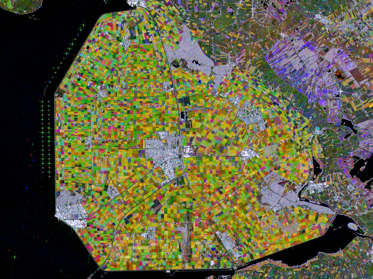 Image radar satellite du Flevoland, mosaïque de parcelles agricoles gagnées sur l'eau