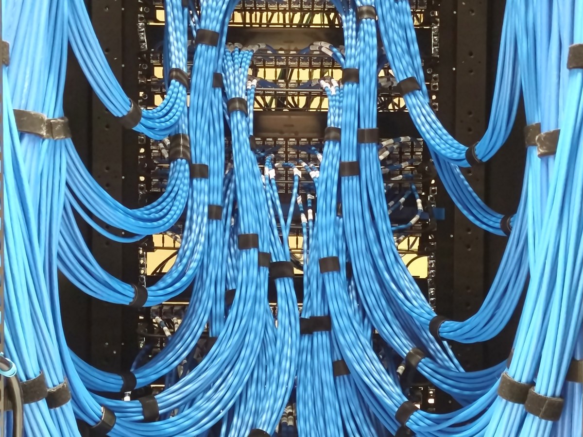 Faisceaux de câbles réseau bleus raccordés à l'arrière d'une baie informatique