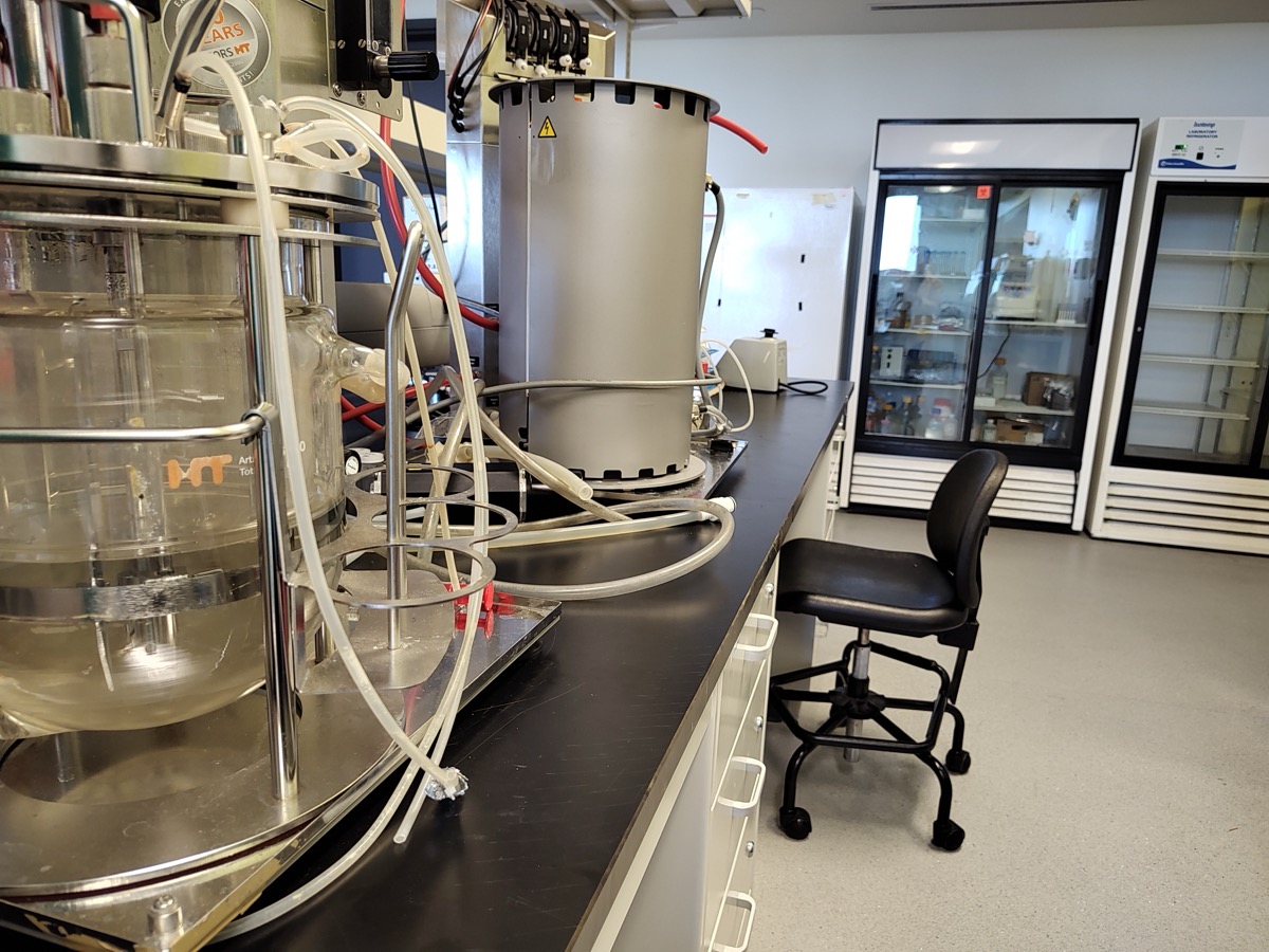 Cuves de bioréacteur en verre et en inox reliées par des tuyaux souples sur une paillasse de laboratoire