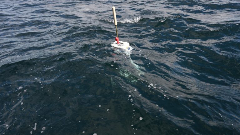 Flotteur profileur Argo blanc flottant en pleine mer, son antenne dressée au-dessus de la houle