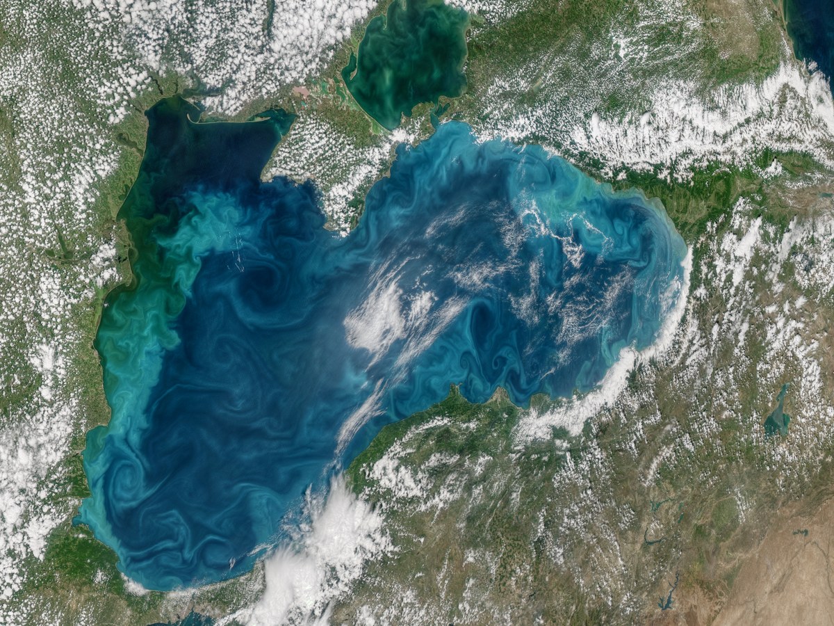 Image satellite de la mer Noire parcourue de volutes turquoise dessinées par une efflorescence de phytoplancton