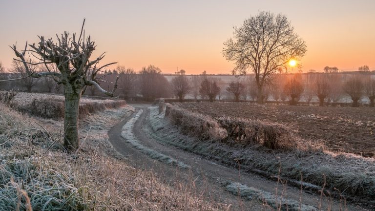 Chemin de terre blanchi par la gelée dans un bocage au lever du soleil, herbes et haies couvertes de cristaux