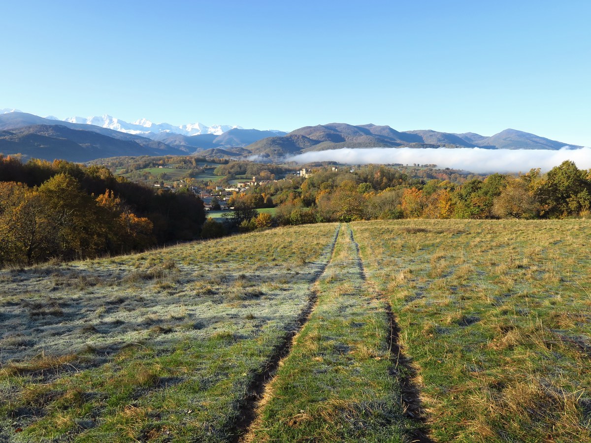 Prairie blanchie par la gelée au petit matin dominant une vallée ensoleillée où stagne un banc de brume