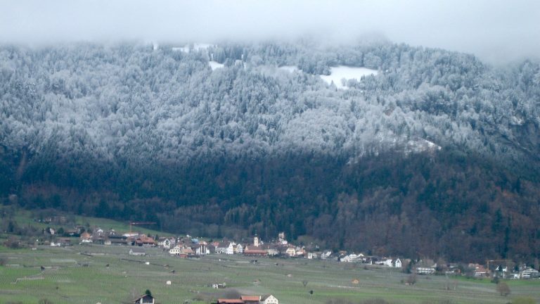 Versant forestier blanchi par la neige au-dessus d'une ligne nette, avec un village et des prés verts au pied de la pente