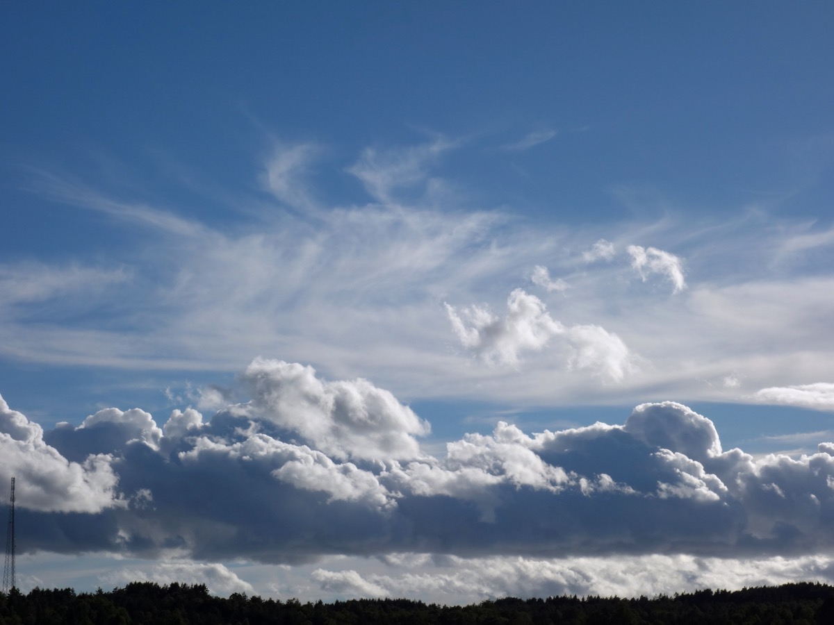 Cumulus alignés sur l'horizon sous un voile de nuages élevés et un ciel bleu