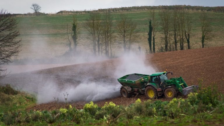 Un tracteur tire un épandeur qui projette un nuage de chaux blanche sur une terre labourée, en bordure de prairie