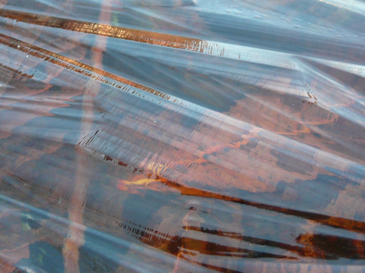 Feuilles mortes prises sous une fine couche de glace, à la surface d'un bassin