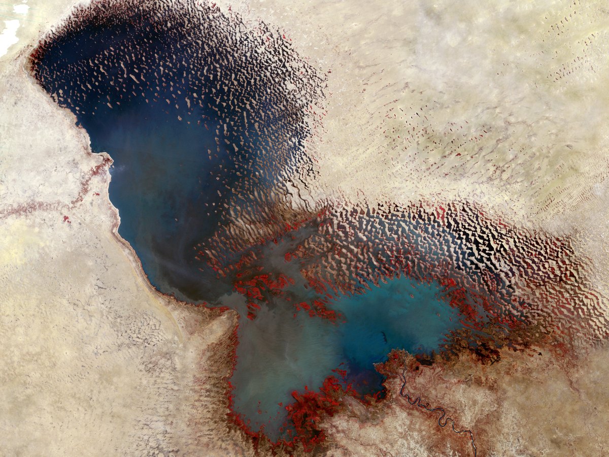 Vue satellite en fausses couleurs du lac Tchad en 1973, encore formé d'une seule grande étendue d'eau
