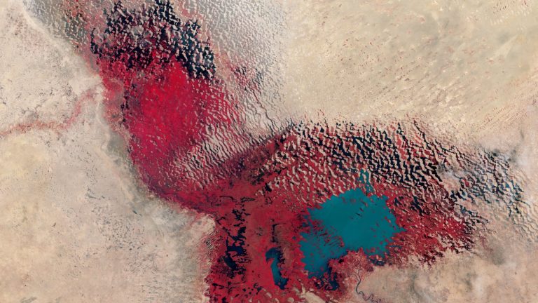 Vue satellite en fausses couleurs du lac Tchad en 2017, eau libre bleue au sud entourée de végétation rouge